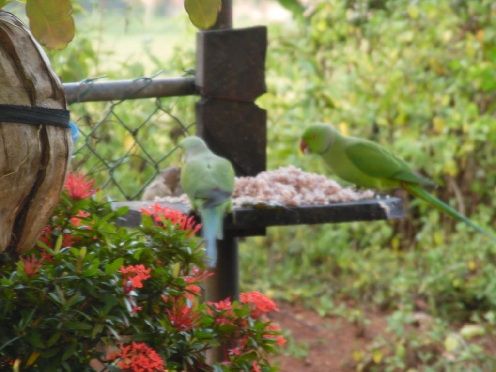 Mount View Villa Resort Mirissa Luaran gambar