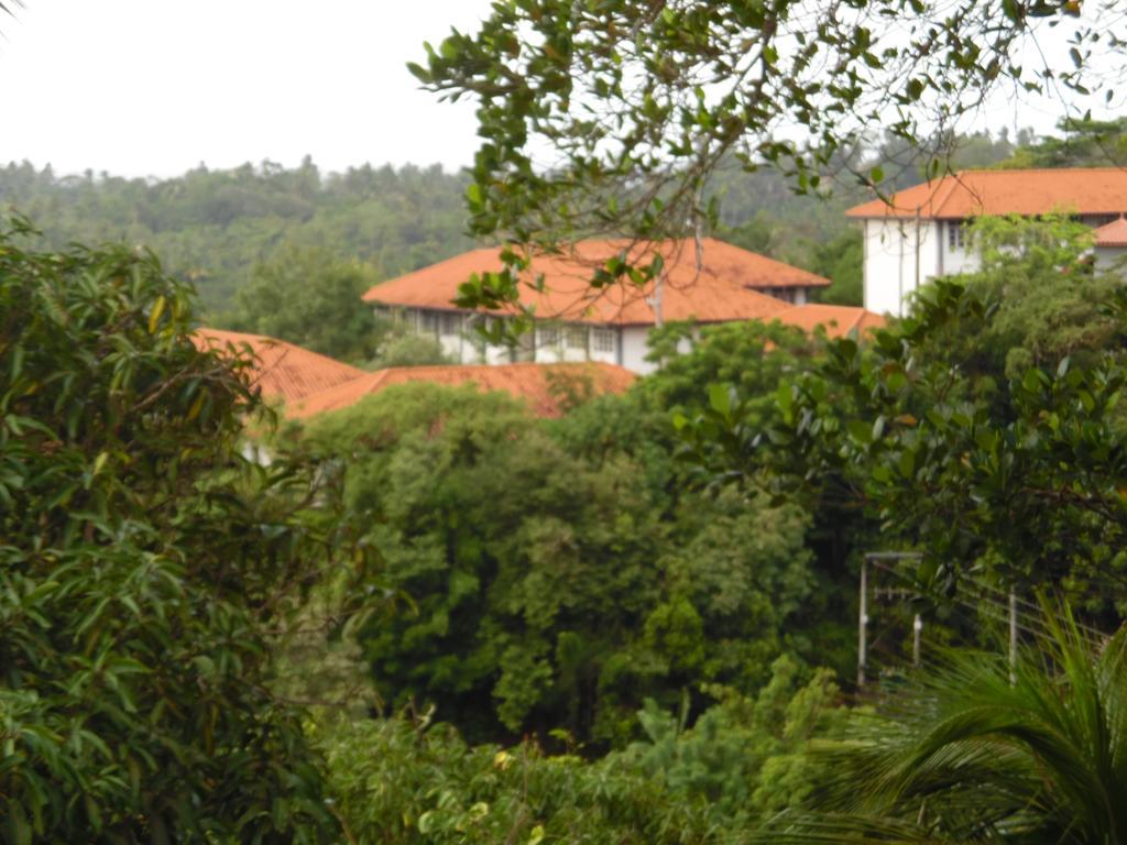 Mount View Villa Resort Mirissa Luaran gambar