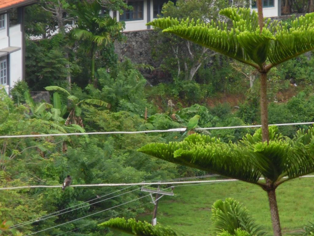 Mount View Villa Resort Mirissa Luaran gambar