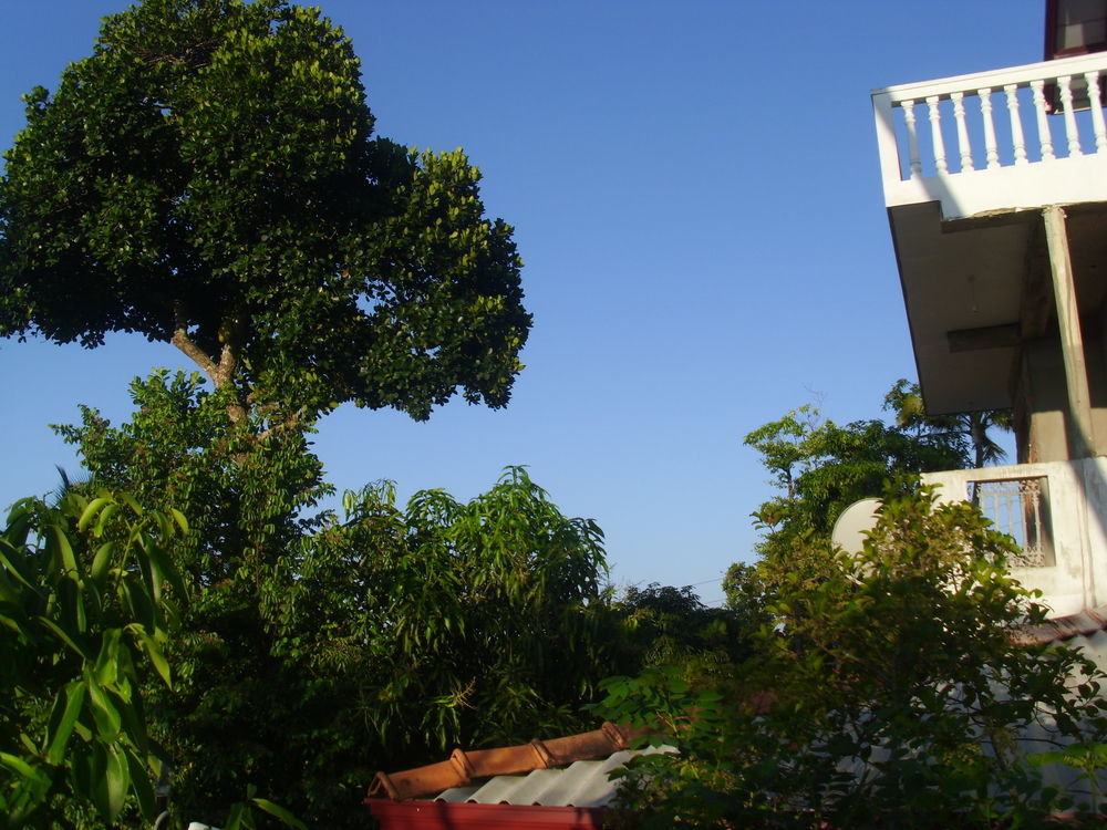 Mount View Villa Resort Mirissa Luaran gambar